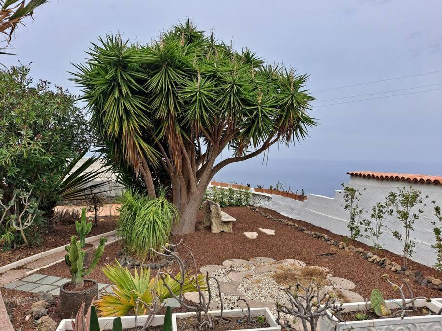 Tenerife Apartment Dulcynea With Terrace And Garden 600M2 With Ocean And Teide View Icod De Los Vinos Eksteriør bilde